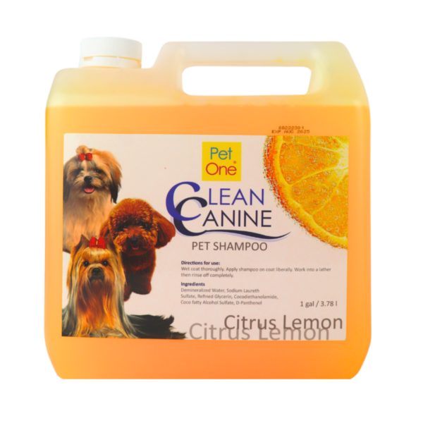 Shampoo – Pet One Gentle Care Pet Shampoo