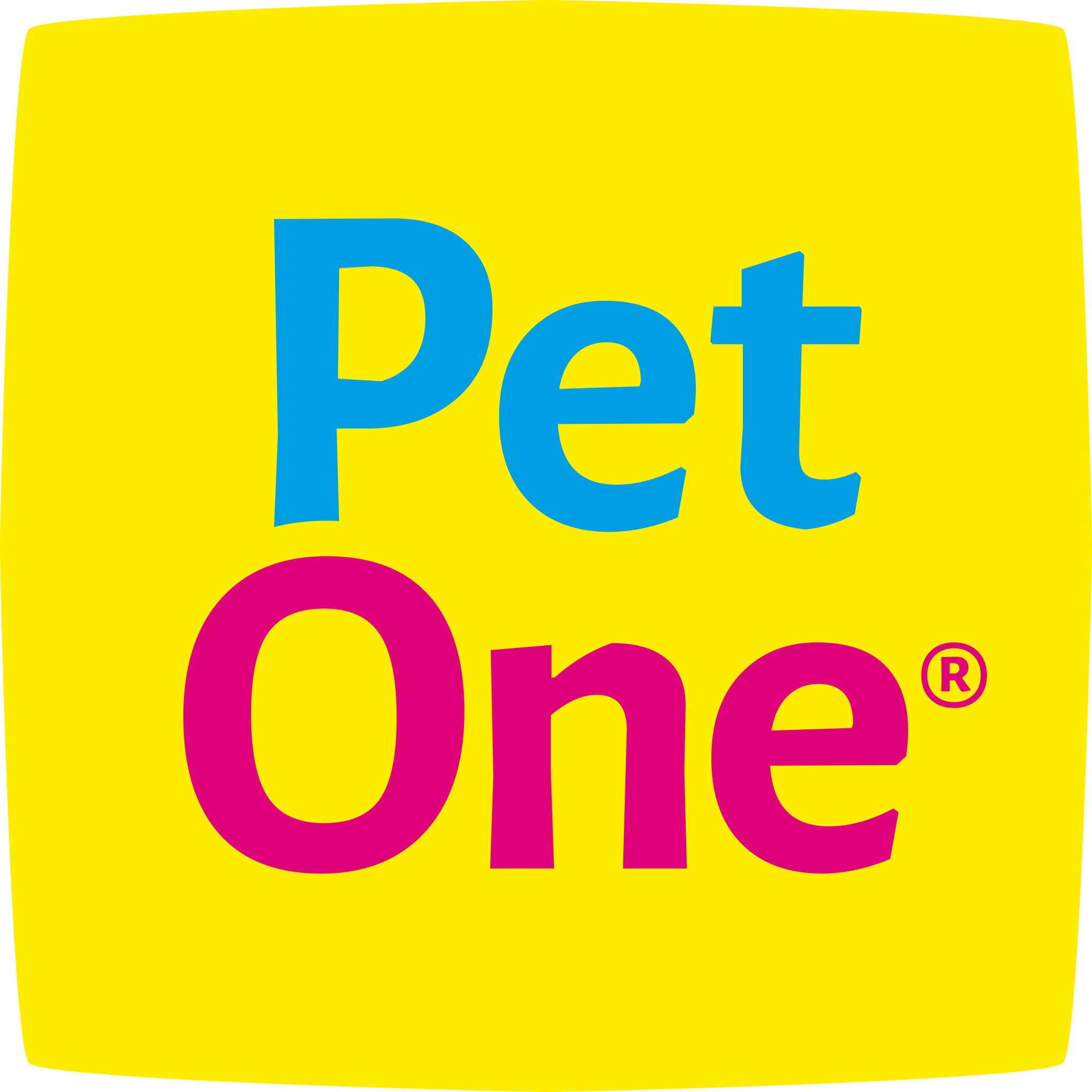 Pet One Inc (ph)